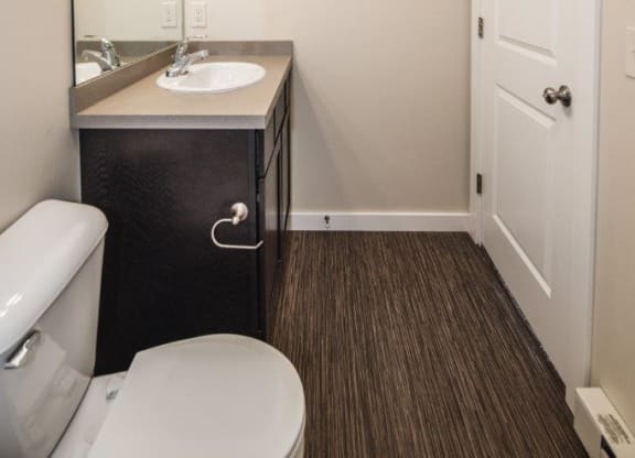 a bathroom with a toilet and a sink and a mirror at Madison Park, Bozeman, 59718