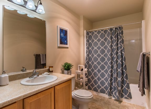 a bathroom with a sink toilet and a shower  at Quail Springs, Washington, 99353