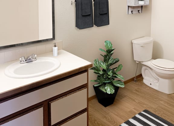 a bathroom with a toilet sink and mirror and a plant at Shiloh Glen, Montana, 59102