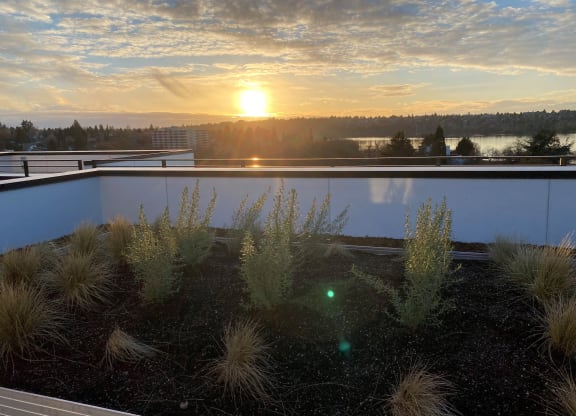 the sunrise or sunset as seen from the roof of a building at The Loop at Green Lake, Seattle, WA