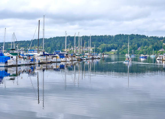a marina filled with boats on a lake at Woodcreek, Poulsbo