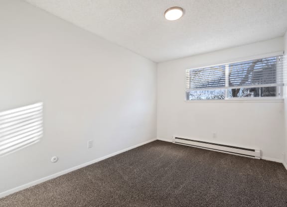 an empty living room with carpet and a window