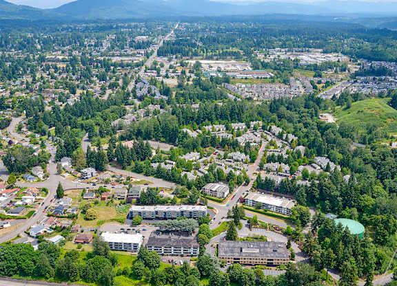 View of Peak 88 from above, surrounded by trees with mountains in the distance.