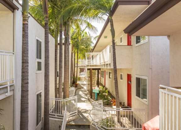 Pacific Sands walkway with tropical landscaping at Pacific Sands, San Diego, CA, 92117