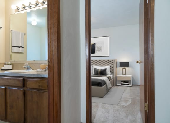Ensuite room with large bathroom counter, sink, wood under sink cabinets, hand towel rack, and good lighting at Hawks Prairie, Olympia, WA.