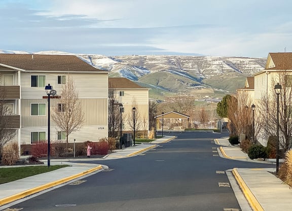 Paved road lined with trees with snowy mountains in the background in Lewiston, ID.