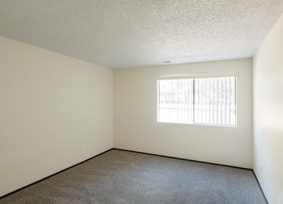 the spacious living room of an apartment with carpet and a window