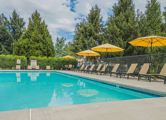Outdoor pool with plenty of lounge chairs and yellow umbrellas.at Cedarwood, Washington