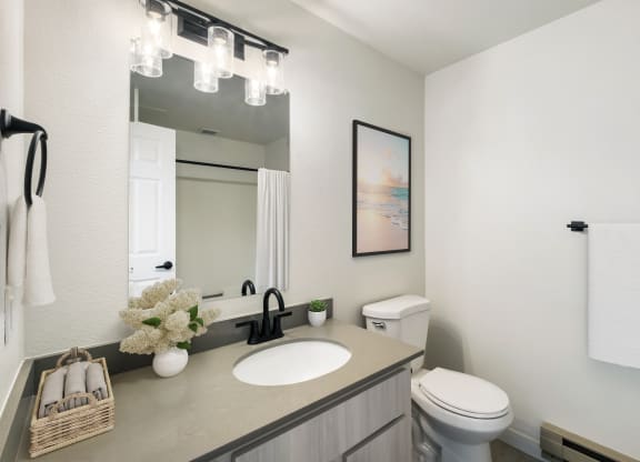 a bathroom with a sink and a toilet  at Brix, Washington, 99362