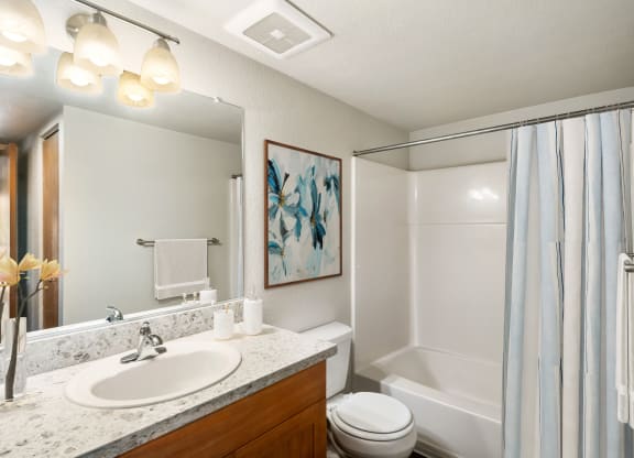 a bathroom with a sink and a toilet and a shower at Cedarwood, Wenatchee, WA 98801