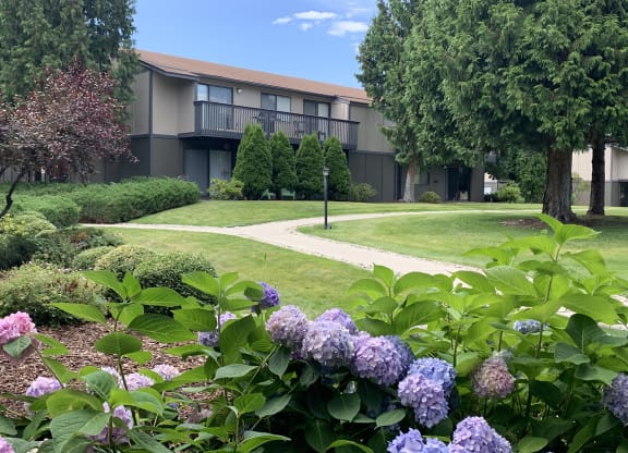Outside paved path to buildings through well landscaped, grassy area.at Cedarwood, Wenatchee, WA