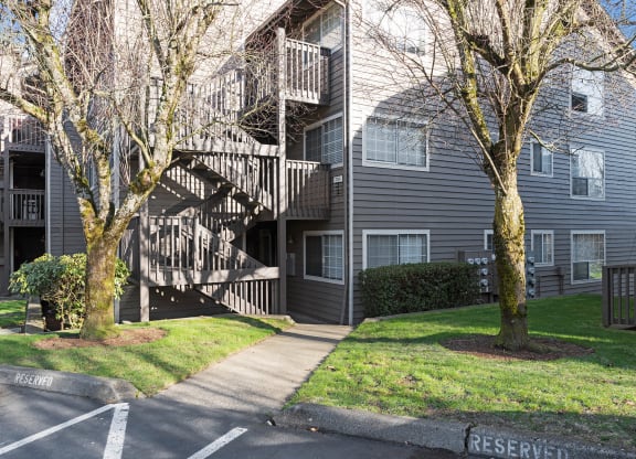 Sidewalk with two large trees and grass on each side, entering gray painted wood stairs leading to apartment homes.at Capitol Crossing, Olympia