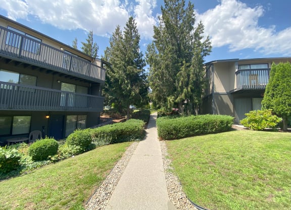 a walkway between two apartment buildings with trees in the background at Cedarwood, Renton Washington