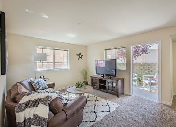 a living room with a couch and a tv