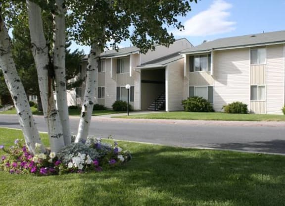 Kirkwood Meadows Apartments exterior, paved path, manicured lawn, Himalayan birch tree surrounded by flowers.at Kirkwood Meadows, Pocatello, ID