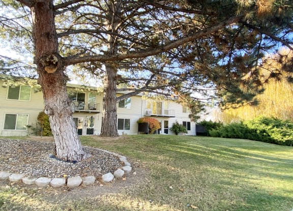 Community landscape with two large trees on the left, green grass, bushes, and apartments in the background.at Laurel Park, Idaho, 83301