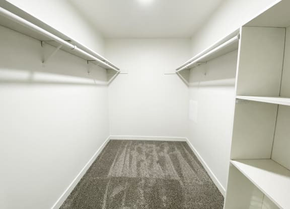 Large walk-in closet with top shelves, closet rod, wall shelving, gray carpet, and white walls.at Laurel Park, Twin Falls, ID 83301