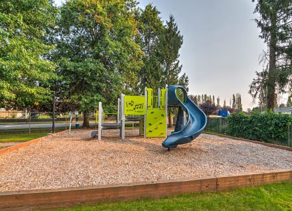 A large playground with a blue slide and a small green rock climbing wall. Surrounded by green grass, trees, and landscaping. at Pointe East, Fife, WA