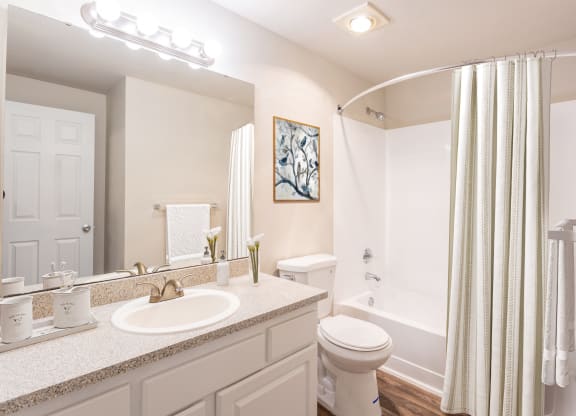 a bathroom with a shower toilet and sink and a mirror
