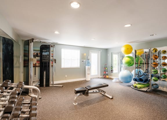 a home gym with a lot of weights and cardio equipment