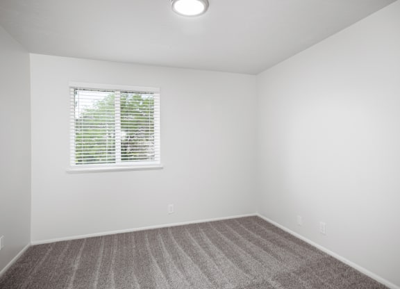 an empty room with carpet and a window