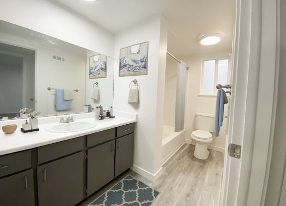 Full bathroom with extended countertop, large mirror, under-sink storage, and privacy wall leading to shower and toilet.at Summit, Pocatello Idaho