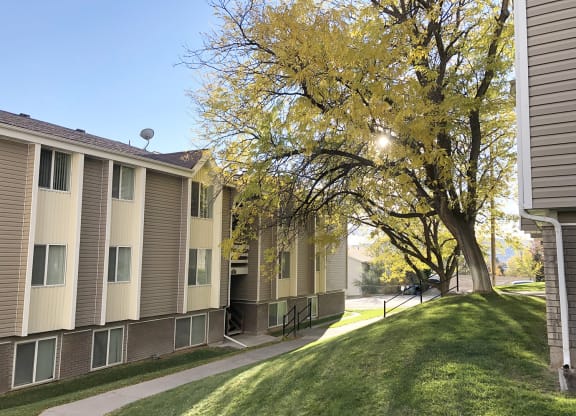 Summit Apartments exterior, paved walkway with grass hill, large tree on the right, and apartments on the left.at Summit, Pocatello, 83201