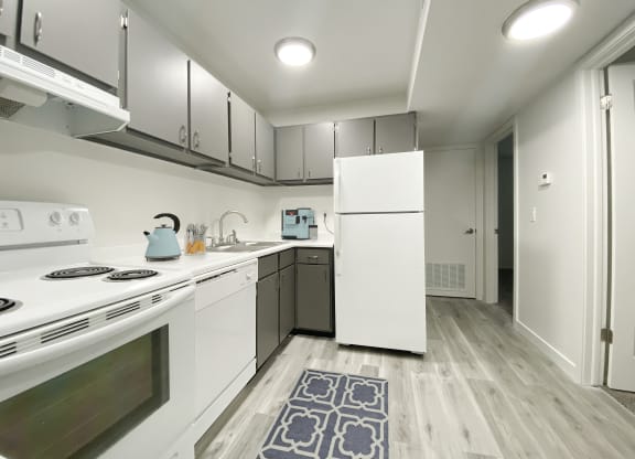 L-shaped kitchen with oven, stove top, range hood, dishwasher, sink, and full-size fridge from left to right.at Summit, Pocatello