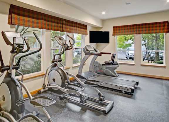 A gym with a row of treadmills and elliptical machines.