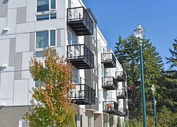 A tree with orange leaves is in front of a white building with black railings at The Duo Apartments in University Place, WA.