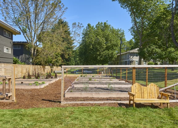 Community garden fenced in for residents to plant vegetables, herbs and more.at Woodhaven, Everett