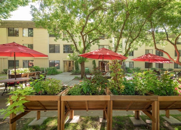 Resident Garden at Campus Commons Senior Living, California