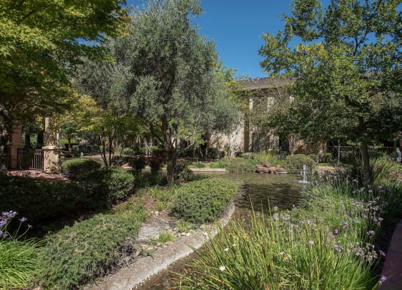 a garden with a pond and trees at Winding Commons Senior Living, Carmichael
