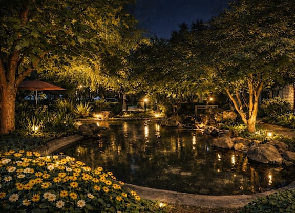 Backyard Pond Illumination at Campus Commons Senior Living, Sacramento, California