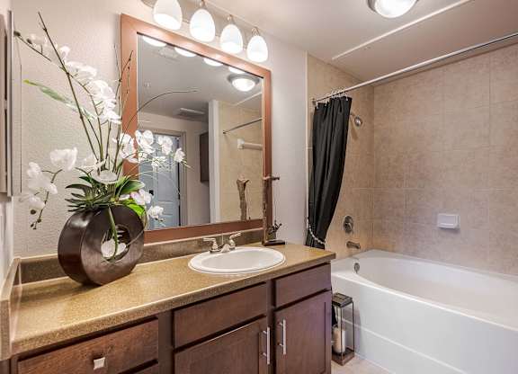 a bathroom with a sink and a tub and a mirror at Discovery at Craig Ranch, Texas, 75070