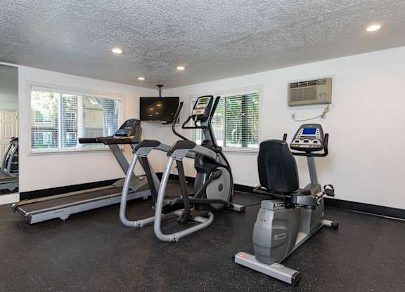 Fitness Center Equipment