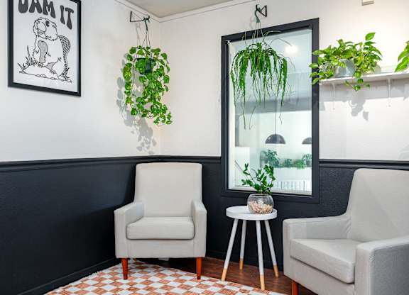 Two white chairs are in front of a window with a hanging plant.