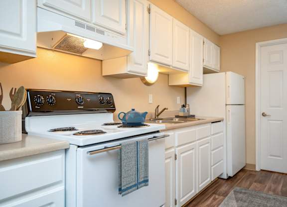 a kitchen with a stove and a sink and a refrigerator