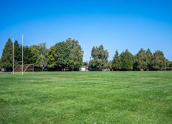 A grassy field with trees in the background and goalposts on the left.