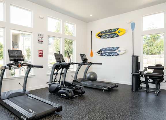 A gym with treadmills, exercise bikes, and surfboards on the wall.