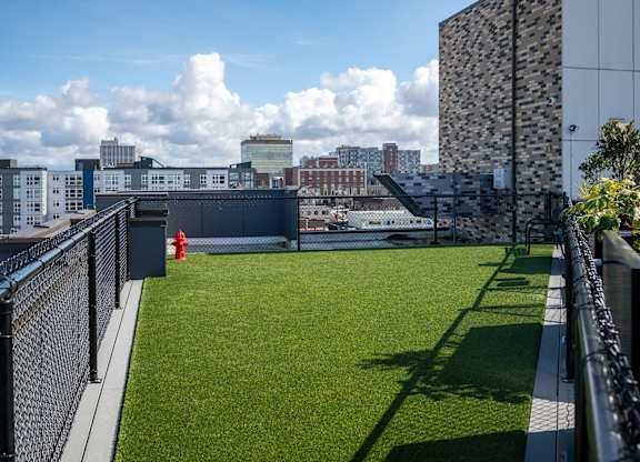 a lawn on the roof of a building with a fire hydrant