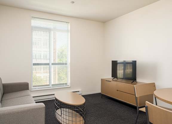 A living room with a grey sofa, a wooden coffee table, a television and a window.