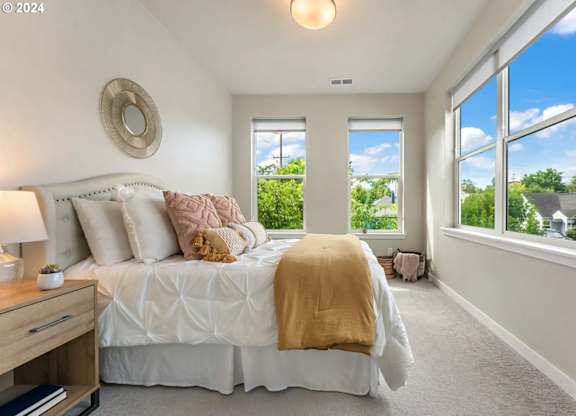 Holland Townhomes
