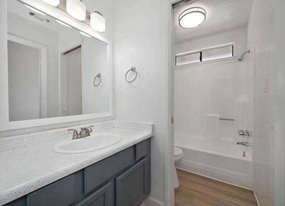 Townhomes at 201 | Bathroom