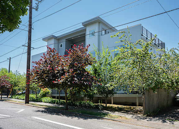 A tree with red leaves is in front of a white building.