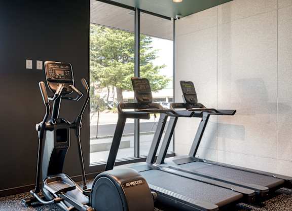 A treadmill and a stationary bike are in a room with a window.