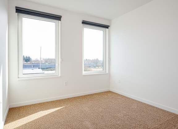 A room with two windows and carpeted floor.