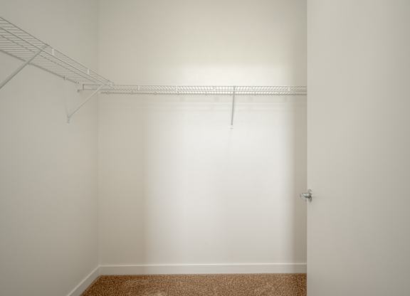 A white closet with a brown carpet.