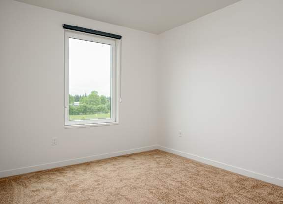 A room with a carpeted floor and a window showing trees and a building outside.