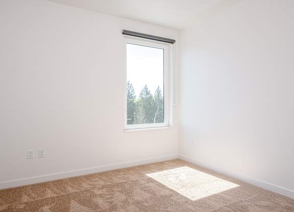 A room with a carpet and a window.